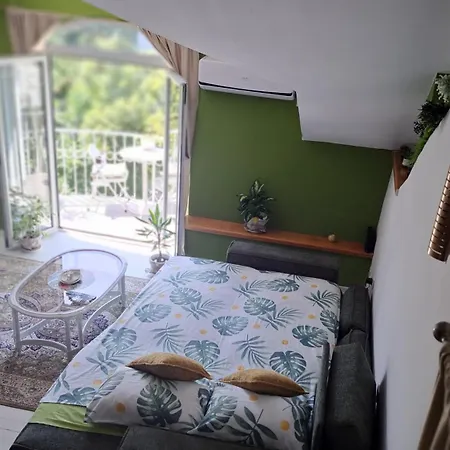 Apartment Gallery *
