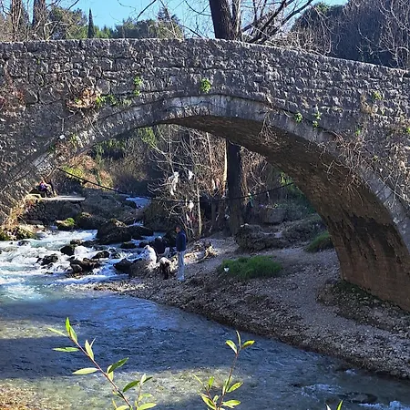 Gallery * Ποντγορίτσα